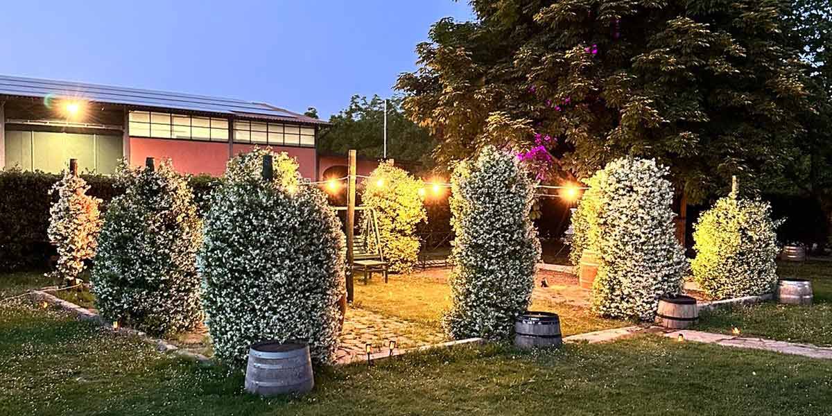 All'azienda San Martino tornano «I venerdì del noceto»
